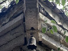 -白水寺森林公园