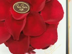 -PETIT PARIS 小巴黎(凯德1818店)