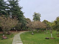 -南京航空航天大学(将军路校区)