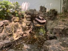 -秋霞圃