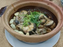 -渔鸽皇酒楼(鸿大广场店)