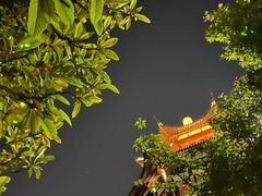 -苏州吴宫泛太平洋酒店