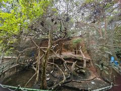 -青青世界
