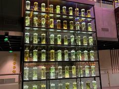 -广州神农草堂中医药博物馆