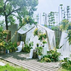 -DC大蔡婚礼策划(李公堤店)