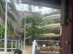 -亚马逊丛林水乐园