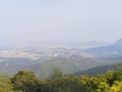 -东莞市大岭山森林公园