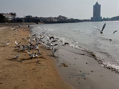 -青岛第一海水浴场