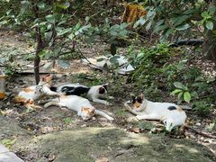 -敬亭山风景名胜区