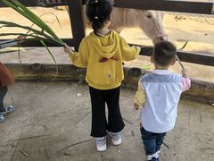 -海南热带野生动植物园