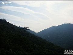 -三亚亚龙湾人间天堂鸟巢度假村
