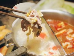 -鼎王麻辣锅(七贤店)