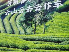 -湘邻呷铺·田园家宴(汉基广场店)