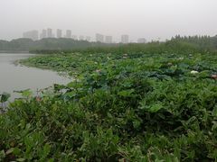 -尚贤河湿地