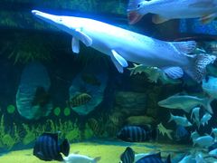 -成都浩海立方海洋公园