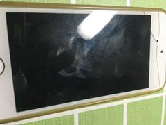 -Apple Store苹果手机电脑售后维修中心(浦东店)