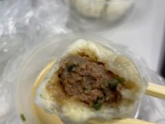 鲜肉小笼包-桐香园小笼包(百井坊巷店)