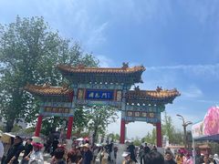 -曹州牡丹园