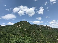 -大岭沟猕猴桃谷风景区