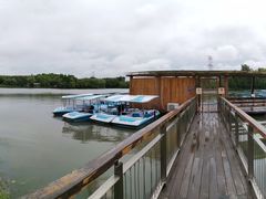 -昆山城市生态森林公园