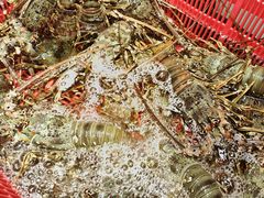 -海鲜e族(马王堆店)