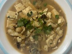 -煲来饱去冷水鱼
