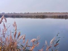 -黄沙古渡原生态旅游区