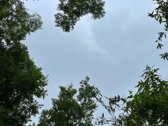 -上海佘山国家森林公园天马山园