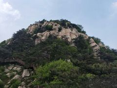 -蒙阴付老大鸡店