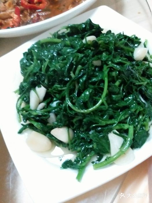 轩雅酒楼菊花脑图片 - 第1张