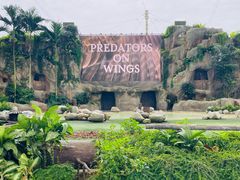 -新加坡飞禽公园