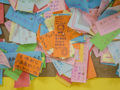 -志龙皇冠吃货椰子铺