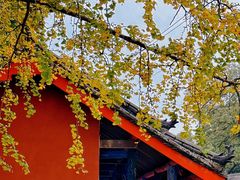 -金堂县云顶石城风景区