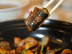 -酌宴府The China Club·广州万富希尔顿酒店(云城东路店)