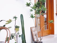 -AHAVA·Fang Baking Studio