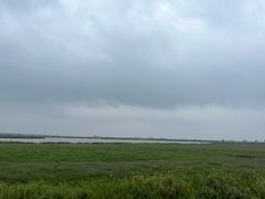 -盐城丹顶鹤湿地生态旅游区