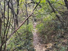 -龙洞风景区-藏龙涧