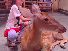 -正佳雨林生态植物园
