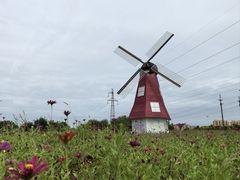 -菊园百果园