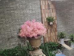 -小贝壳酒楼(经九路店)