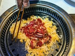 -杨记齐齐哈尔烤肉(总店)