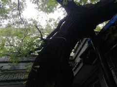 -大学习巷清真寺