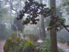 -青城山