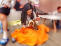 -浣熊柯尔鸭土拨鼠·电玩咖