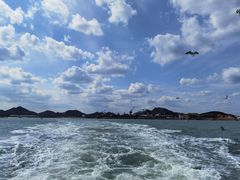 -海驴岛(荣成市)