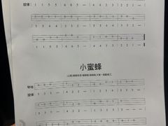 -缪斯琴行英皇小提琴.钢琴.吉他(张江店)
