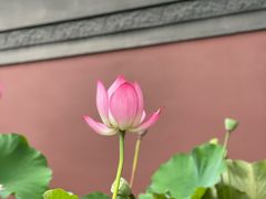 -钱王祠