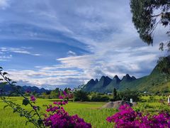 -万峰林风景区