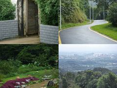 -黄埔油麻山森林公园