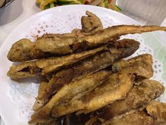 -华盛园卷子王农家菜水库鱼